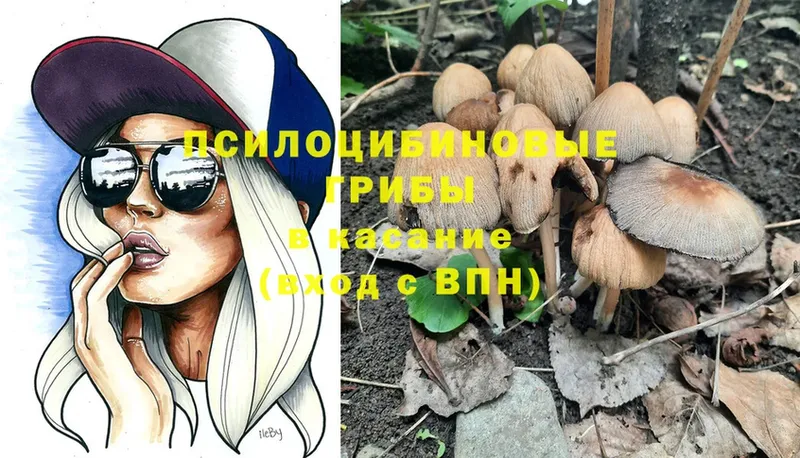 Галлюциногенные грибы Psilocybe  Карталы 